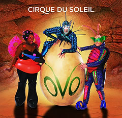 Cirque de Soleil Ovo
